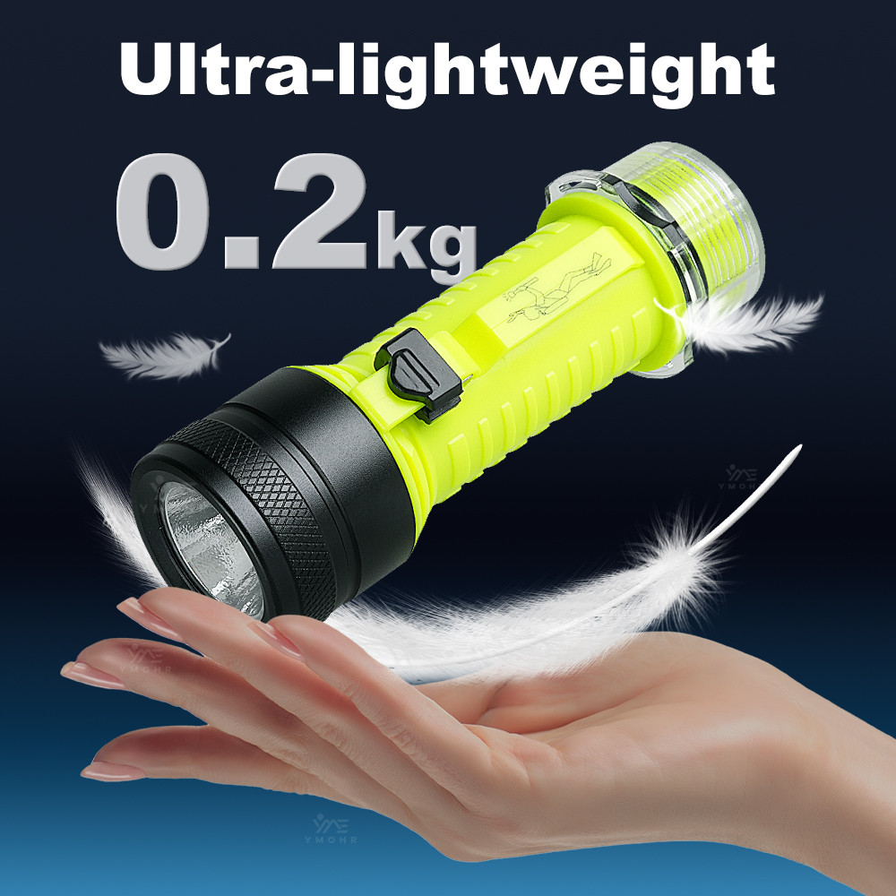 New Portable Professional LED  - огляд і ціна Fishing Light